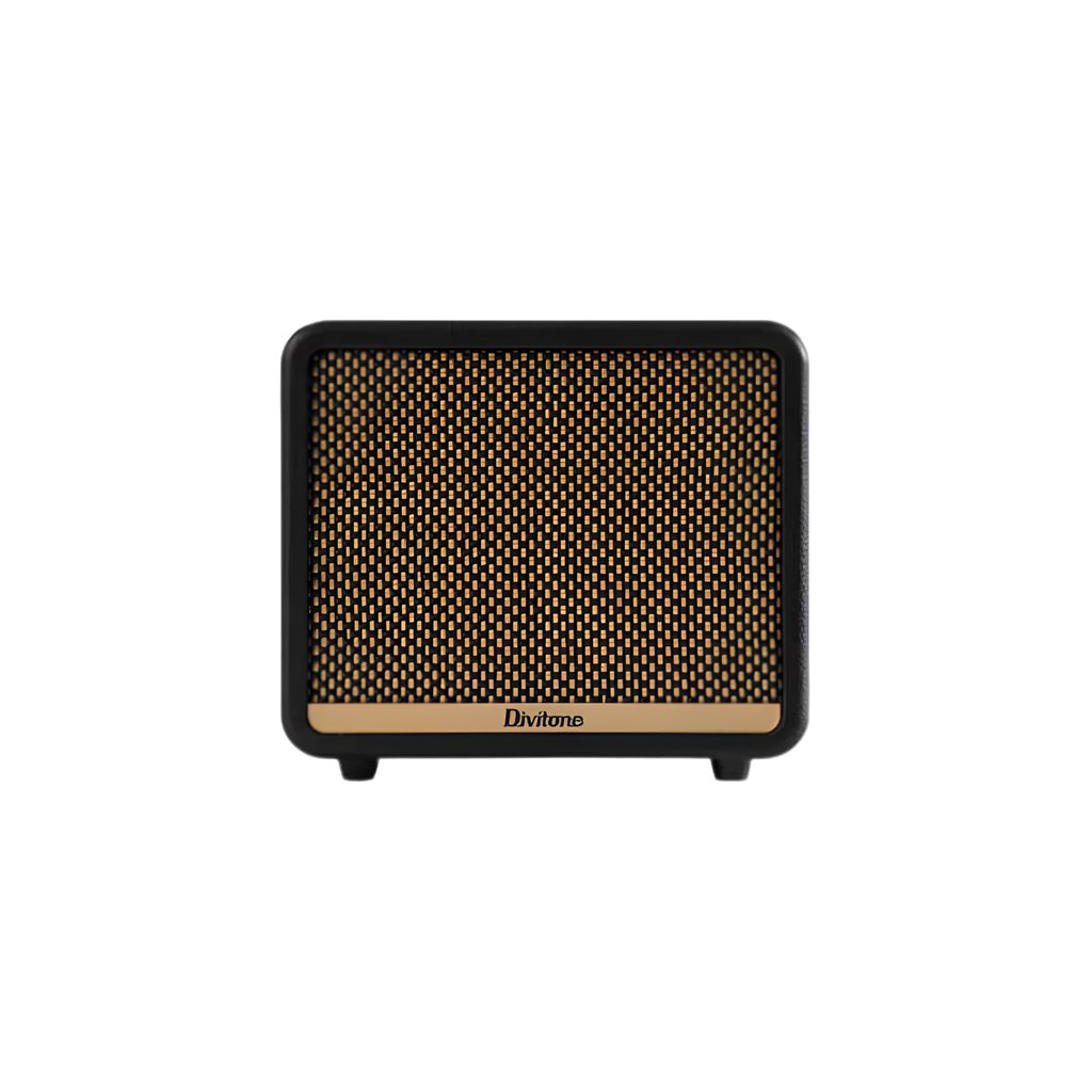 DIVITONE Amplifier Gitar Portabel Jam 10