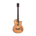 BROMO BEN2C Fusion Craft Hollow Body Nylon Strings Hybrid Pickup System Robust