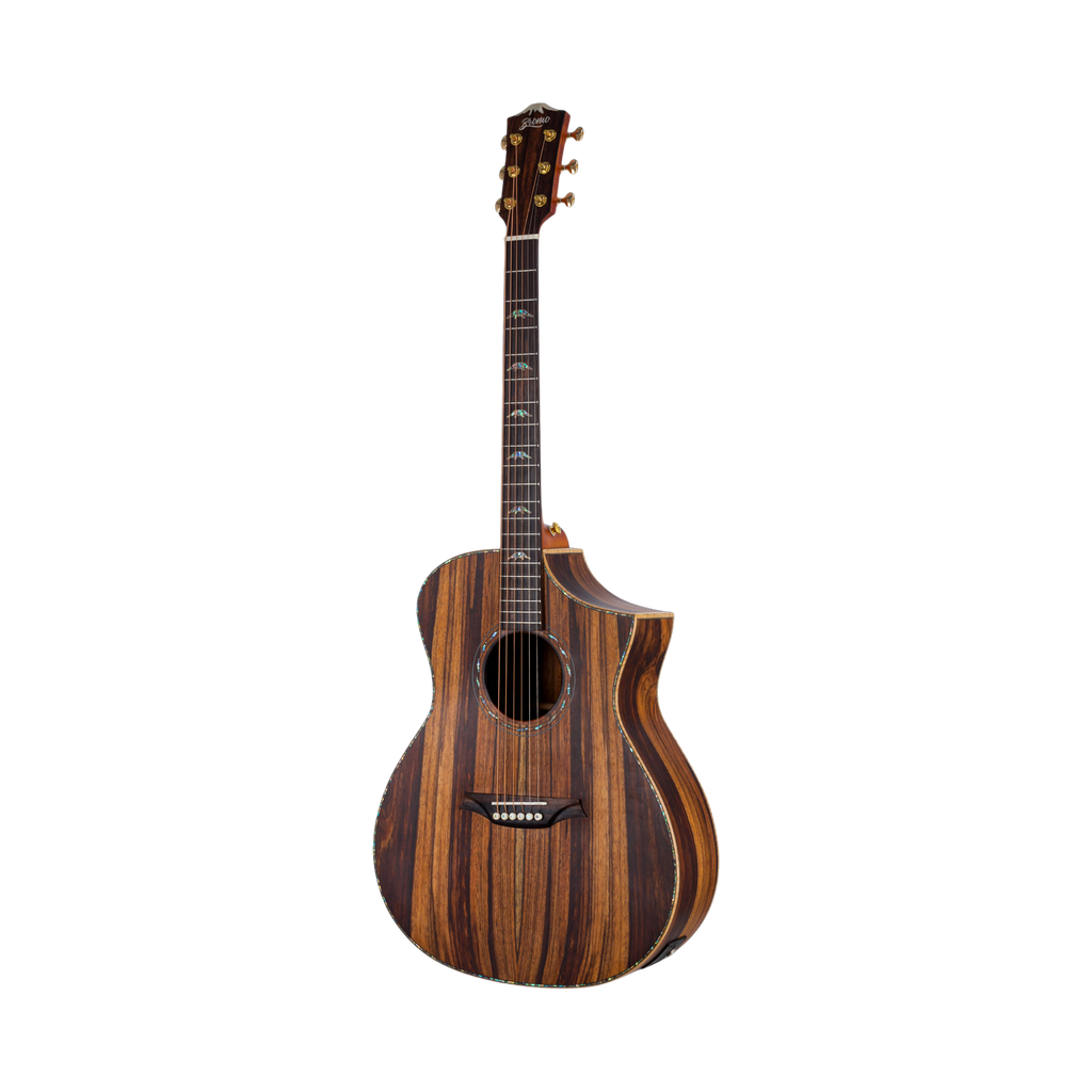 BROMO BAR4GCE All Solid Acoustic-Electric Guitar Hillside Auditorium Cutaway Natural