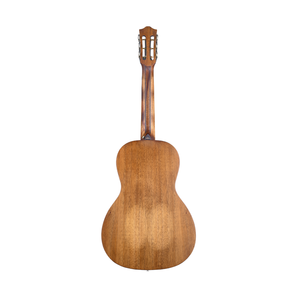 BROMO BAR6H-HS Parlor History All Solid Plastic Free Guitar Natural