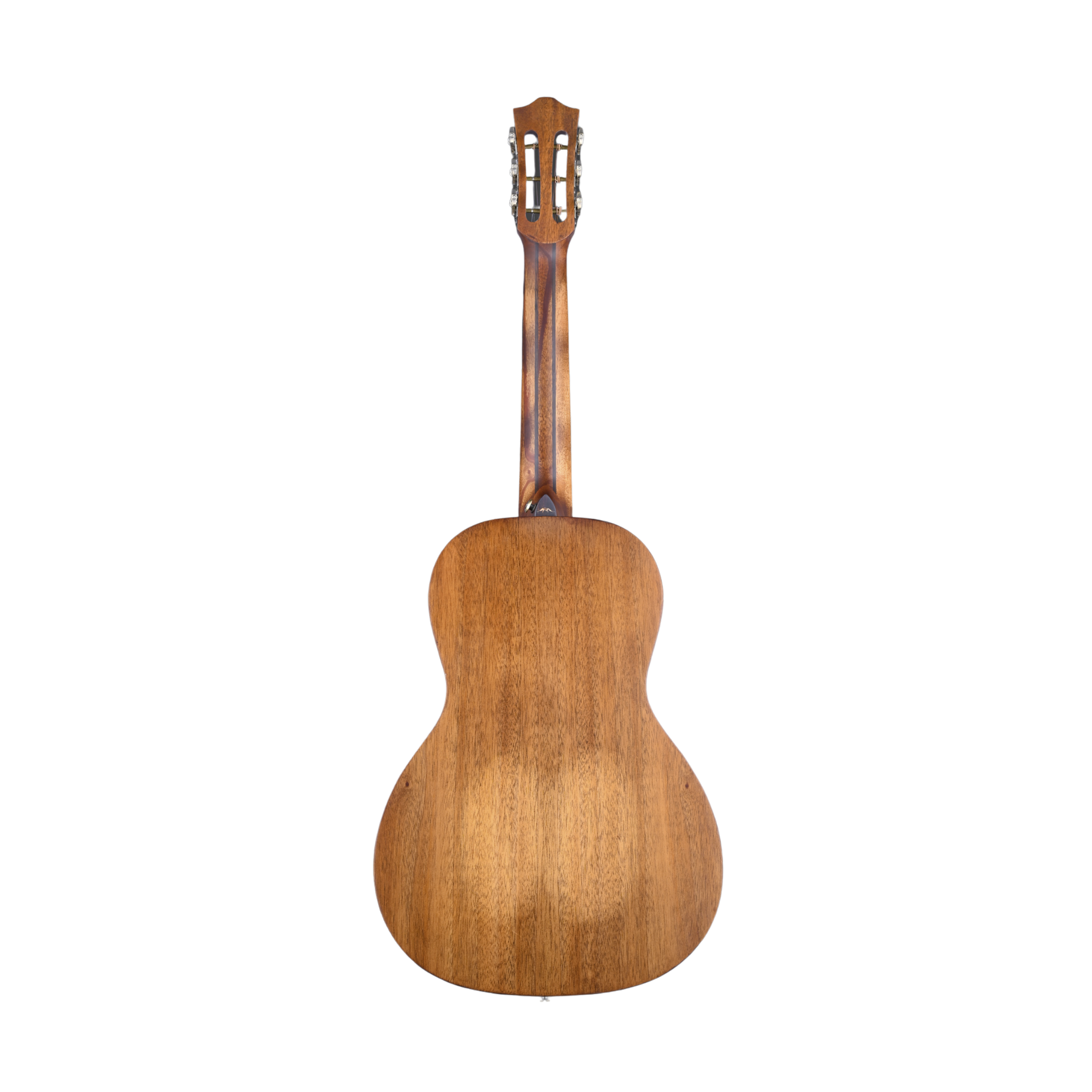 BROMO BAR6H-HS Parlor History All Solid Plastic Free Guitar Natural