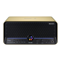 MOOER FUTURE F40i Guitar Smart Amp Imperial Gold