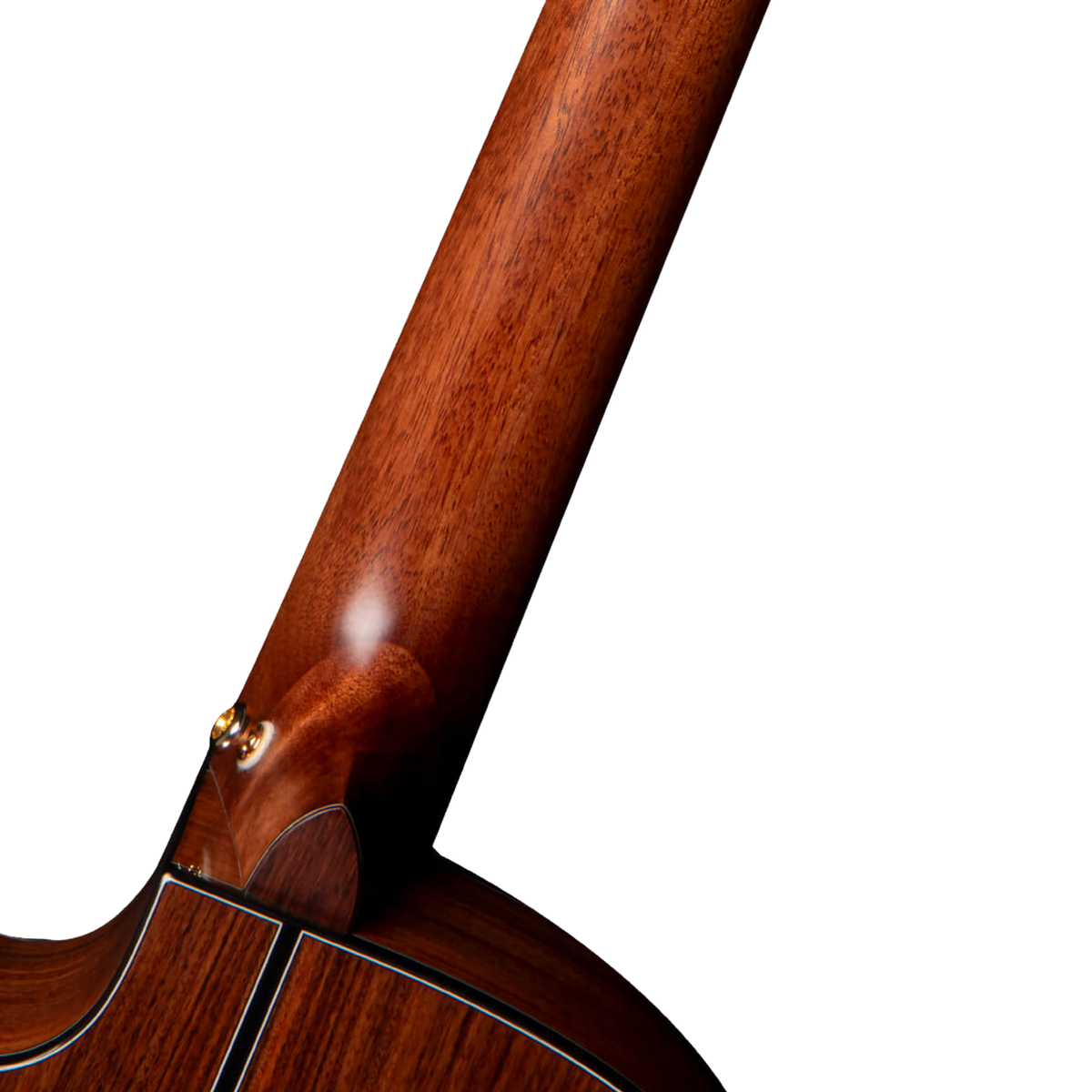CORT Gold OC-8 NAT Classical Nylon Guitar with Preamp Fishman