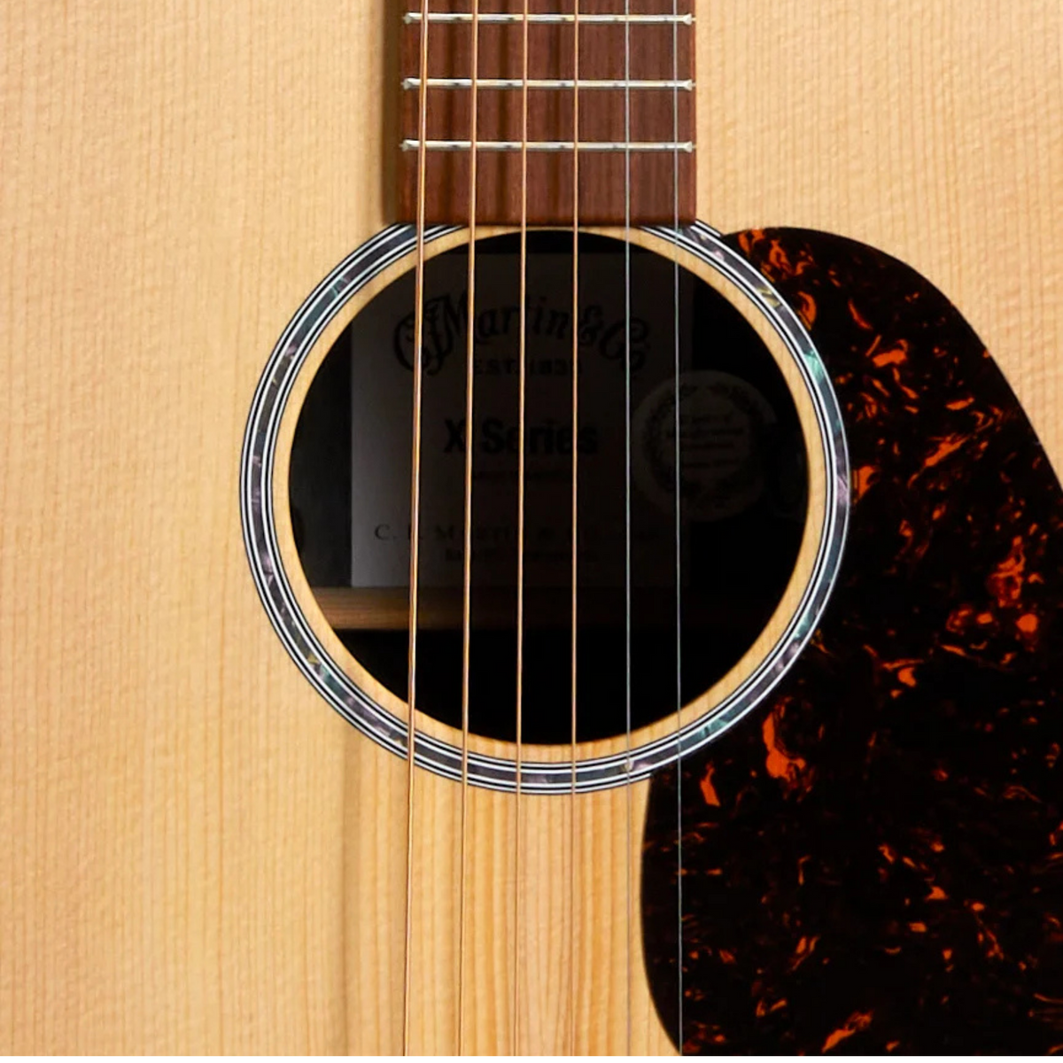 MARTIN & CO DX2E Brazilian Acoustic Guitar Electric