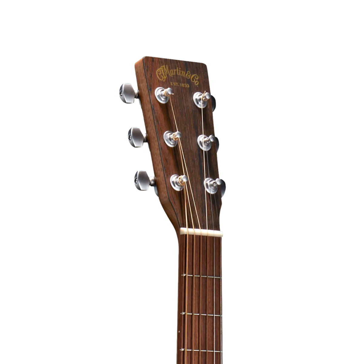 MARTIN & CO DX2E Brazilian Acoustic Guitar Electric