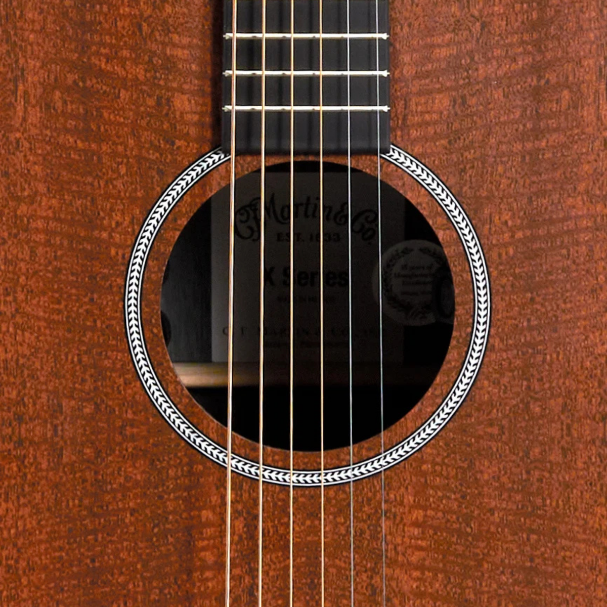 MARTIN & CO DX1E Mahogany Acoustic Guitar Electric